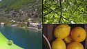 Puntata del 30 aprile - Seconda parte