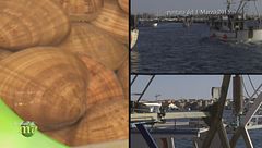 Puntata del 17 settembre - Prima parte