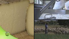 Puntata del 24 settembre - Prima parte