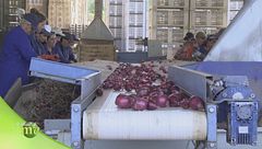 Puntata dell'1 ottobre - Prima parte