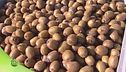 Dove si lavora il kiwi