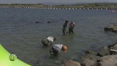 Puntata dell'1 ottobre - Seconda Parte