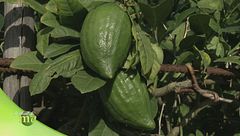 Puntata del 15 ottobre - Seconda parte