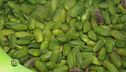 Come si lavora il pistacchio