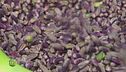 Le proprietà nutrizionali del pistacchio