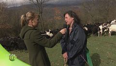 Puntata del 12 novembre - Seconda parte