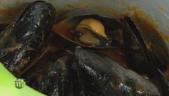 Puntata del 19 novembre - Seconda parte