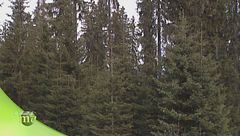 Puntata del 26 novembre - Prima parte