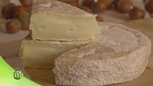 La pecora delle Langhe