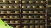 Pecorino di Sorano