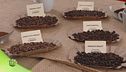 Come nasce una miscela di caffè