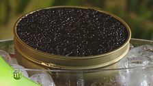 Conosciamo meglio il caviale