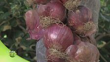 Sapori di Calabria