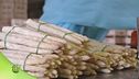 La lavorazione degli asparagi