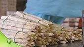 La lavorazione degli asparagi