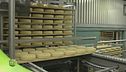 La produzione del formaggio Piave
