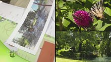 Come si progetta un giardino