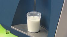 Latte di casa