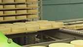 Il formaggio Piave DOP di Lattebusche