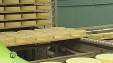 Il formaggio Piave DOP di Lattebusche