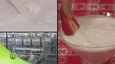 Yogurt Lattebusche