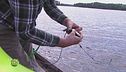 La pesca in Finlandia