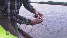 La pesca in Finlandia