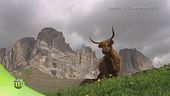 Eroi di montagna