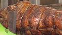 La porchetta umbra