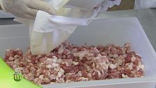Salumi marchigiani