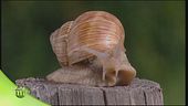 Rivincita agricoltura
