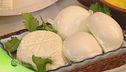 Alla scoperta dei formaggi di pecora