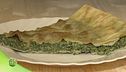 Torta d'erbe