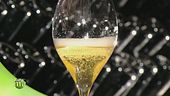 Bollicine dal 1902