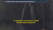 I lavoratori del sesso vanno messi in regola?