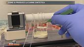 Come si produce la carne sintetica