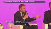 Francesco Lollobrigida: "Non è svilente lavorare in agricoltura"