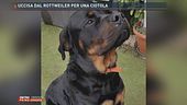 Uccisa dal rottweiler per una ciotola