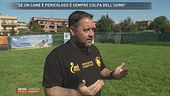 "Se un cane è pericoloso è sempre colpa dell'uomo"
