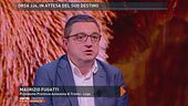 Parla Fugatti: "Perchè l'orsa va abbattuta"