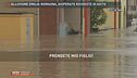 Alluvione in Emilia-Romagna: disperate richieste d'aiuto