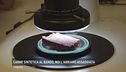 Carne sintetica al bando: noi l'abbiamo assaggiata