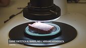 Carne sintetica al bando: noi l'abbiamo assaggiata
