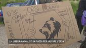 Jj4 libera: animalisti in piazza per salvare l'orsa