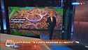 La tv russa: "In Europa mangiano gli insetti"
