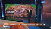 La tv russa: "In Europa mangiano gli insetti"