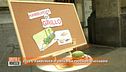 Tutti pazzi per gli insetti