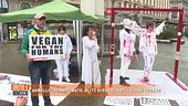 Blitz di Pasqua delle iene vegane