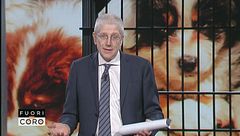 Puntata del 14 marzo