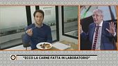 "Ecco la carne fatta in laboratorio"